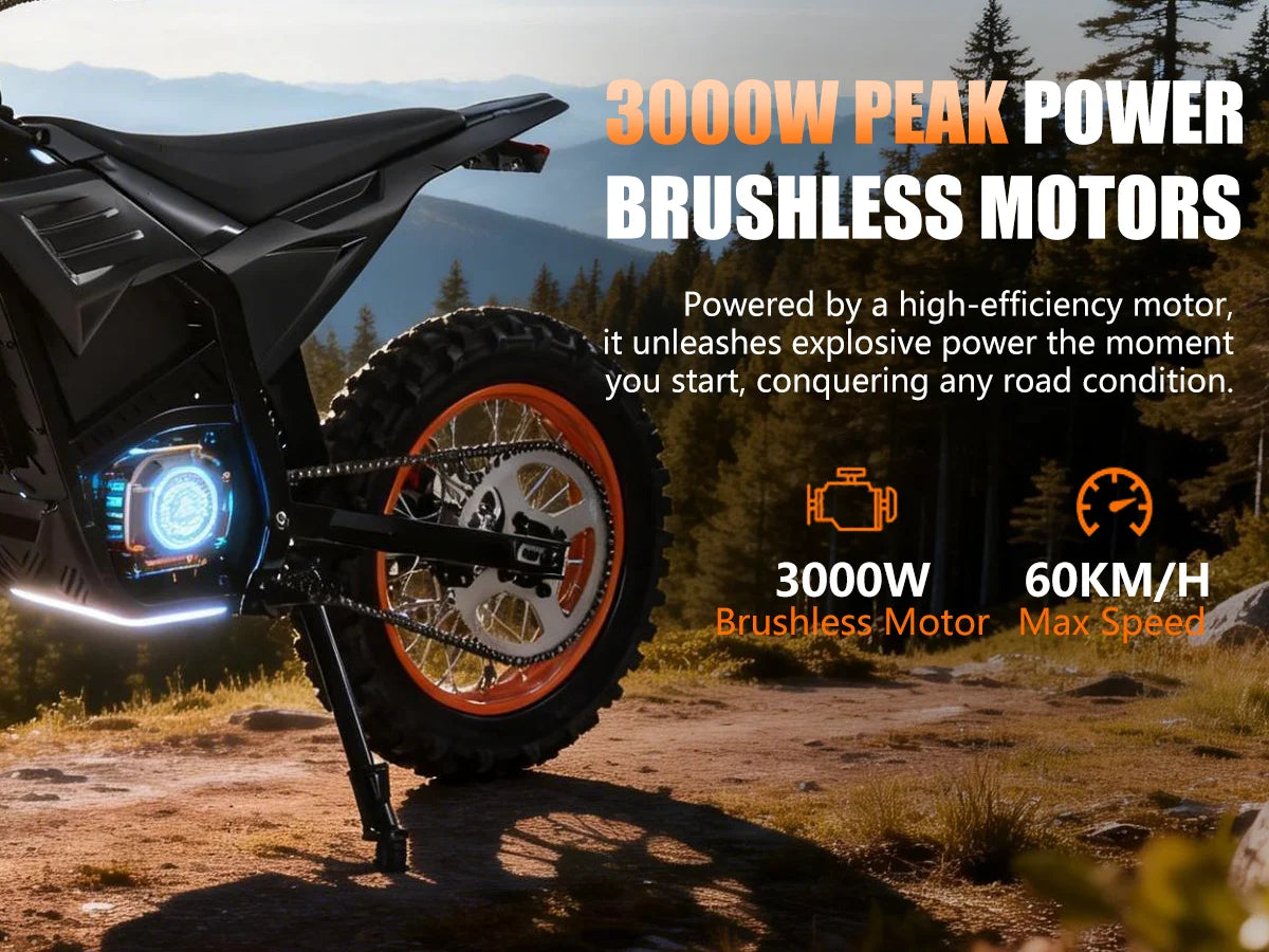 Electric Motorcycle 3000W, EBIKE,48V 20AH Battery, 60km/h, Oil Brake, Max Load 130KG