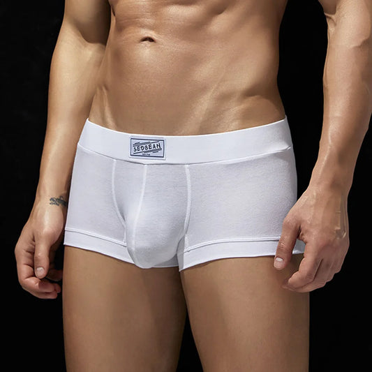 Men Sexy Underwear Boxer Briefs Comfortable Breathable Low Rise Intimates Hot Stretch Male Boxershorts Teenage Underpants