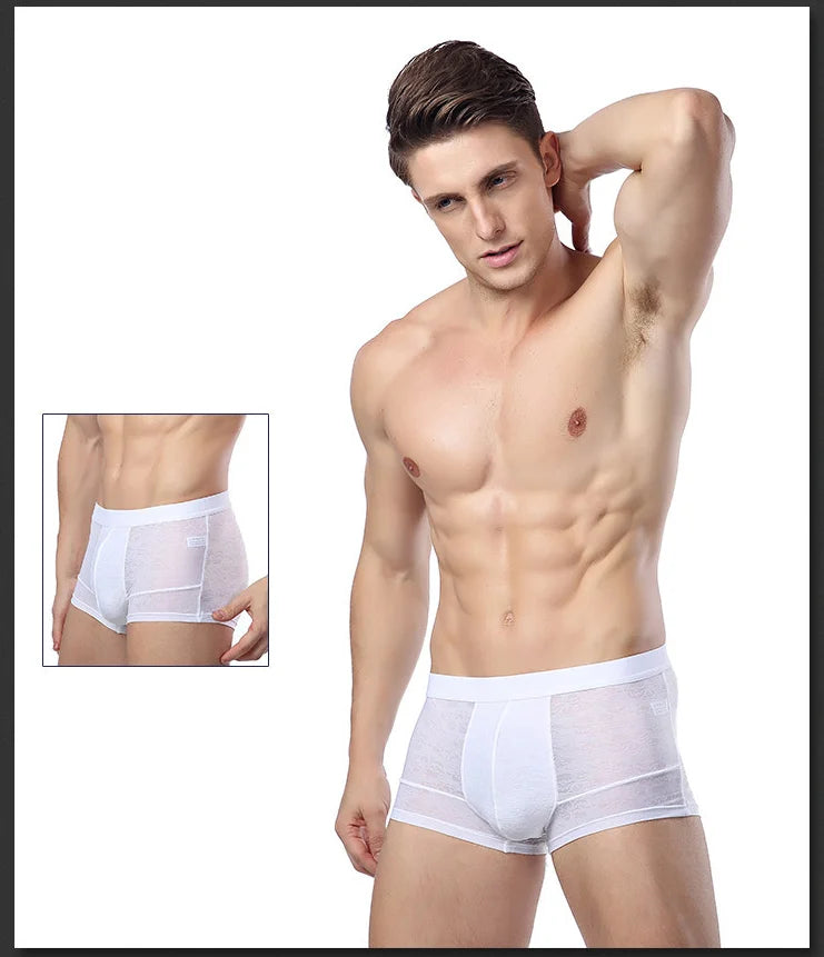 Men Boxer Underwear Sexy Ultra Thin Strectch See Through Panties Ice Silk Breathable Mid Waist Solid Underpants Male Briefs