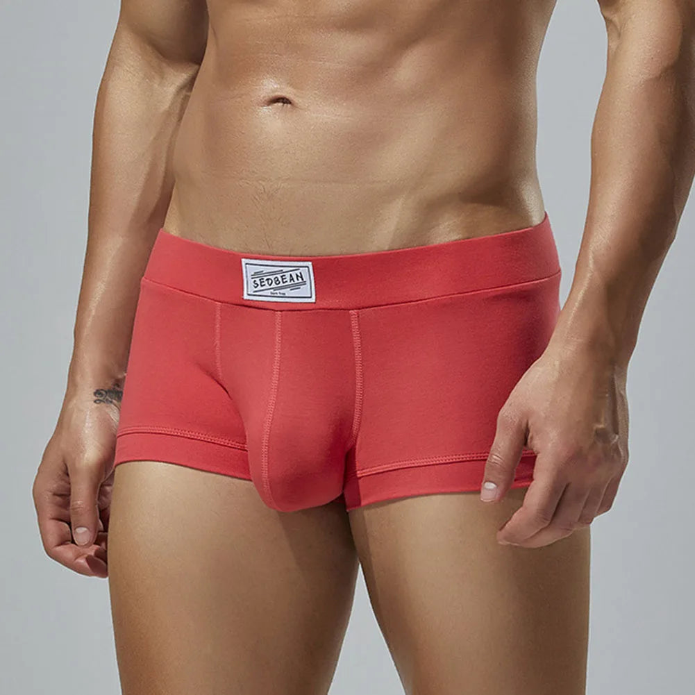 Men Sexy Underwear Boxer Briefs Comfortable Breathable Low Rise Intimates Hot Stretch Male Boxershorts Teenage Underpants