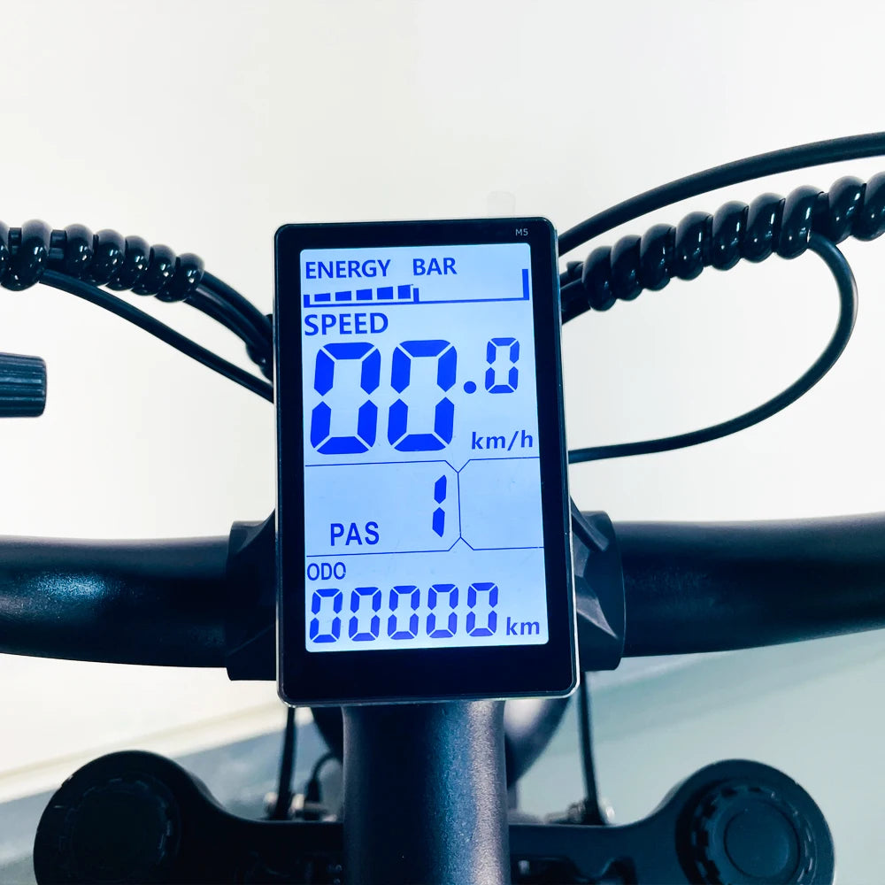 YVY Electric Bike for Adults 1200W 48V 15.6Ah Teens Off-road Touring City Trail 20*4 Inch Fat Tire Snow City Commuter EBike