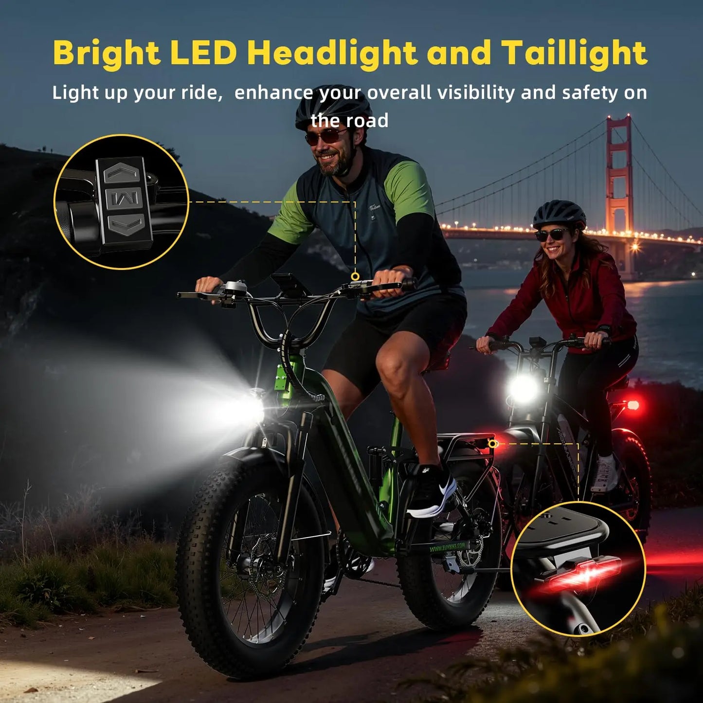 Electric Bike for Adults 1400W Peak, 48V 20AH(960WH) Removable Battery, 20"x4" Fat Tire Full Suspension 80 Miles, Customized