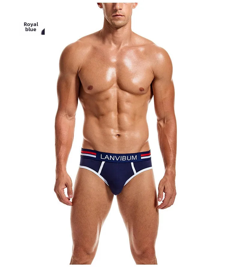 2-piece set - cotton men's underwear briefs breathable youth mid-waist large-size men's underwear underwear summer briefs