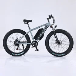 new Off-road Mountain commuter E-bike 45 Mph Max Speed 24" Fat Tire Hydraulic Disc Brake Electric Bicycle