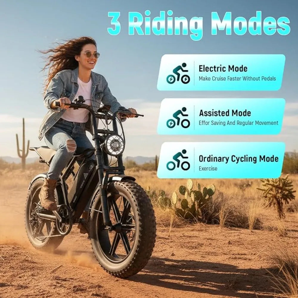 Electric Bike for Adults, 1500W Peak Motor Ebike, 20" x 4.0" Fat Tire E Bike, 48V 15Ah Removable Battery,Customized