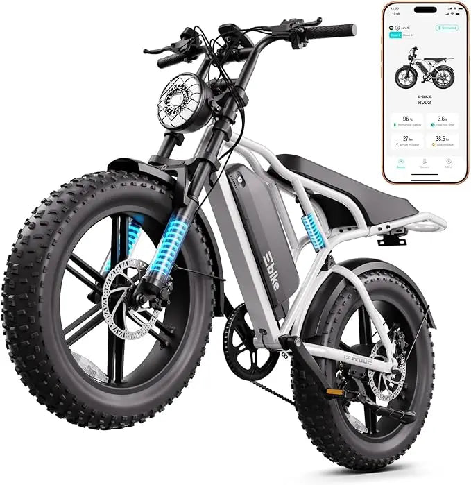 Electric Bike for Adults, 1500W Peak Motor Ebike, 20" x 4.0" Fat Tire E Bike, 48V 15Ah Removable Battery,Customized