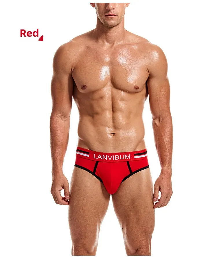 2-piece set - cotton men's underwear briefs breathable youth mid-waist large-size men's underwear underwear summer briefs