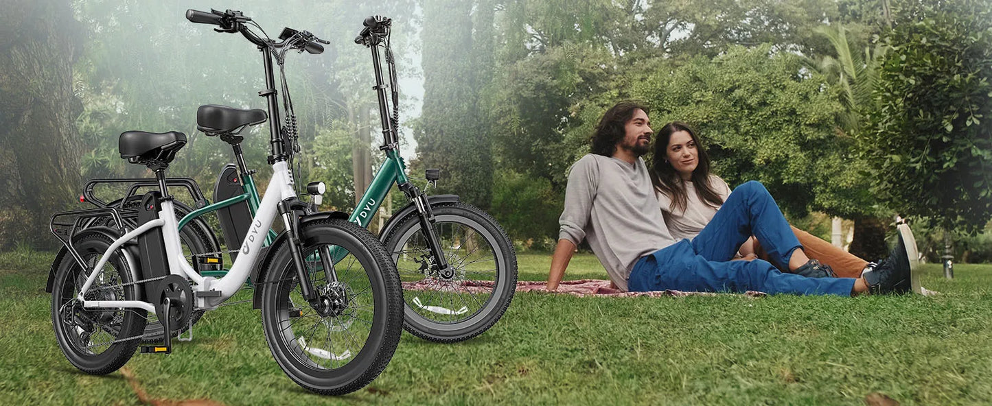 DYU C9 Electric Bicycle Peak 1000W Motor 48V15.6AH Lithium Battery Electric Bike Hydraulic Brake 20*3.0 Inch Fat Tire E-bike