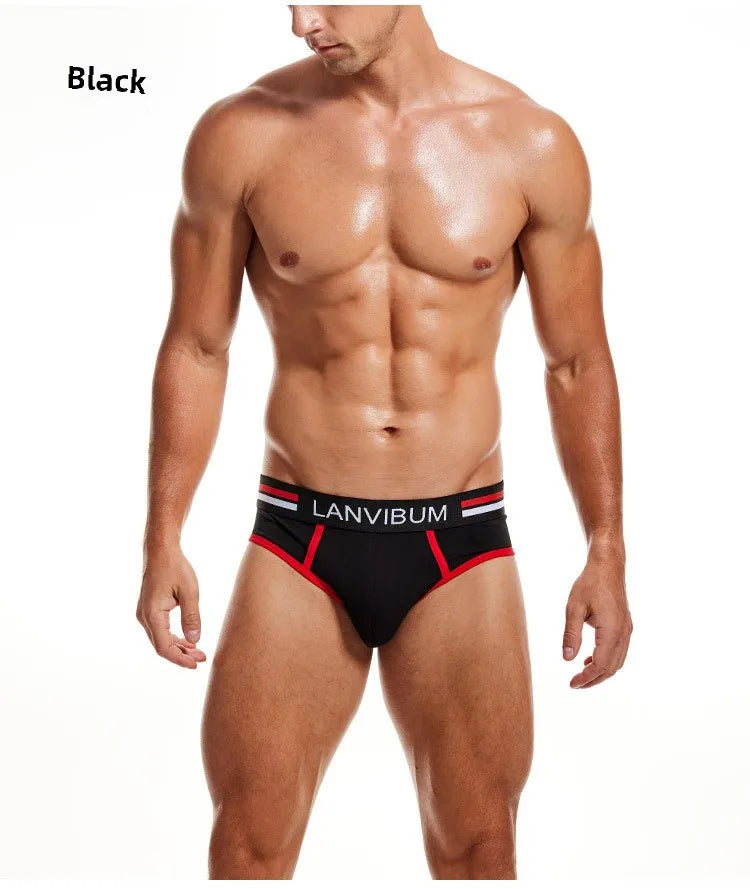 2-piece set - cotton men's underwear briefs breathable youth mid-waist large-size men's underwear underwear summer briefs