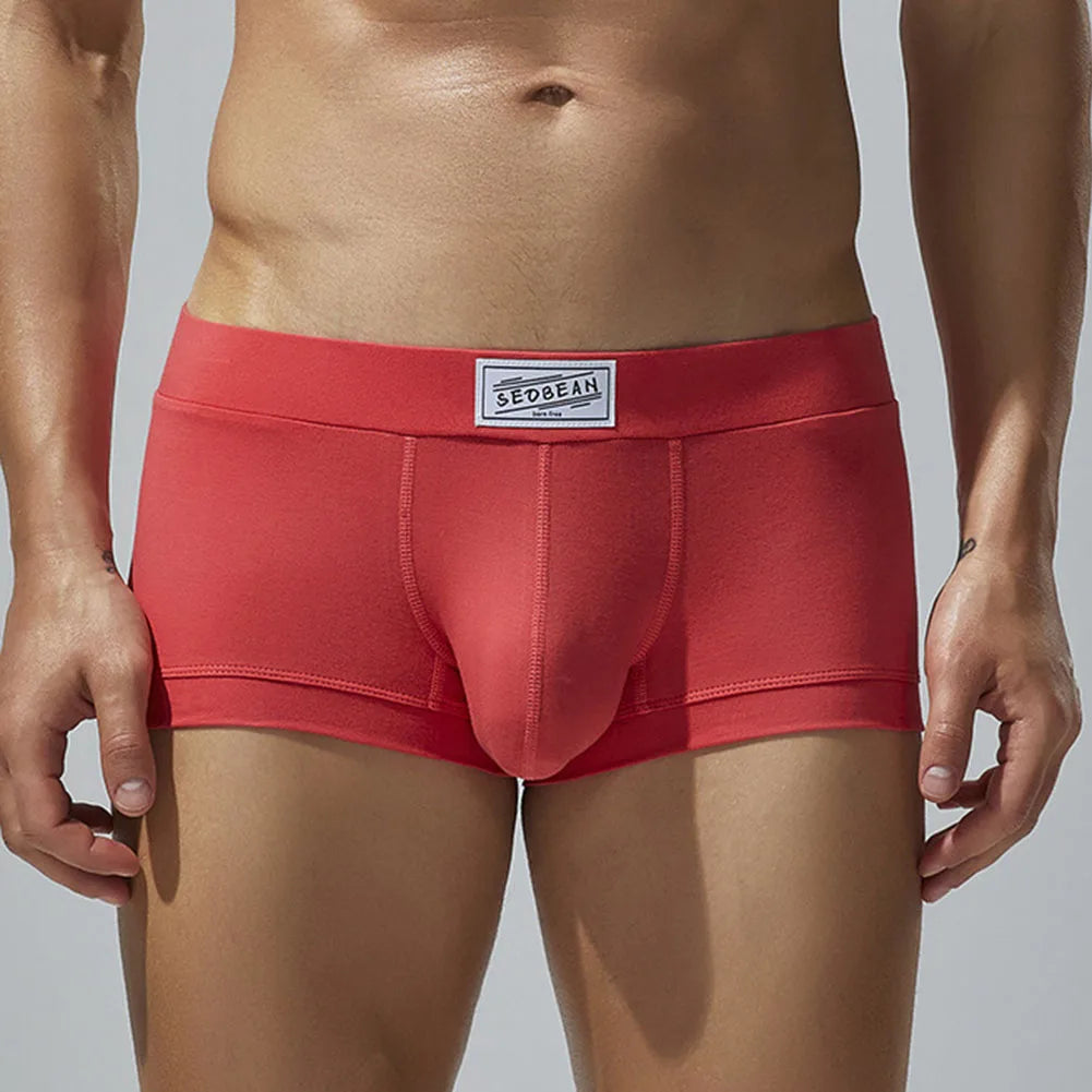 Men Sexy Underwear Boxer Briefs Comfortable Breathable Low Rise Intimates Hot Stretch Male Boxershorts Teenage Underpants