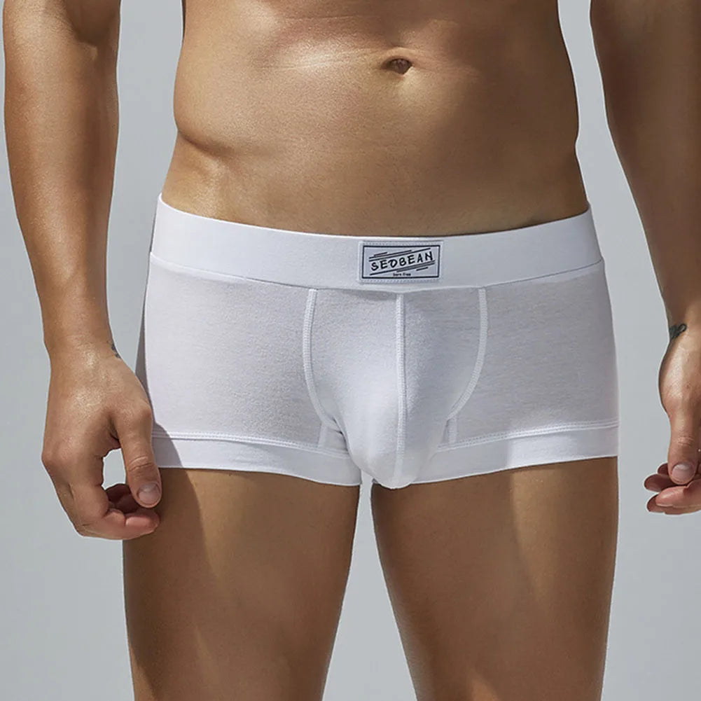 Men Sexy Underwear Boxer Briefs Comfortable Breathable Low Rise Intimates Hot Stretch Male Boxershorts Teenage Underpants