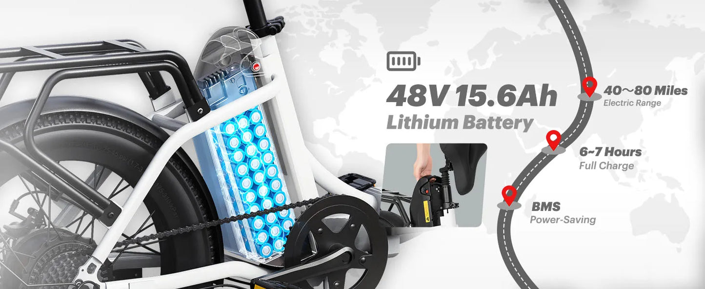 DYU C9 Electric Bicycle Peak 1000W Motor 48V15.6AH Lithium Battery Electric Bike Hydraulic Brake 20*3.0 Inch Fat Tire E-bike