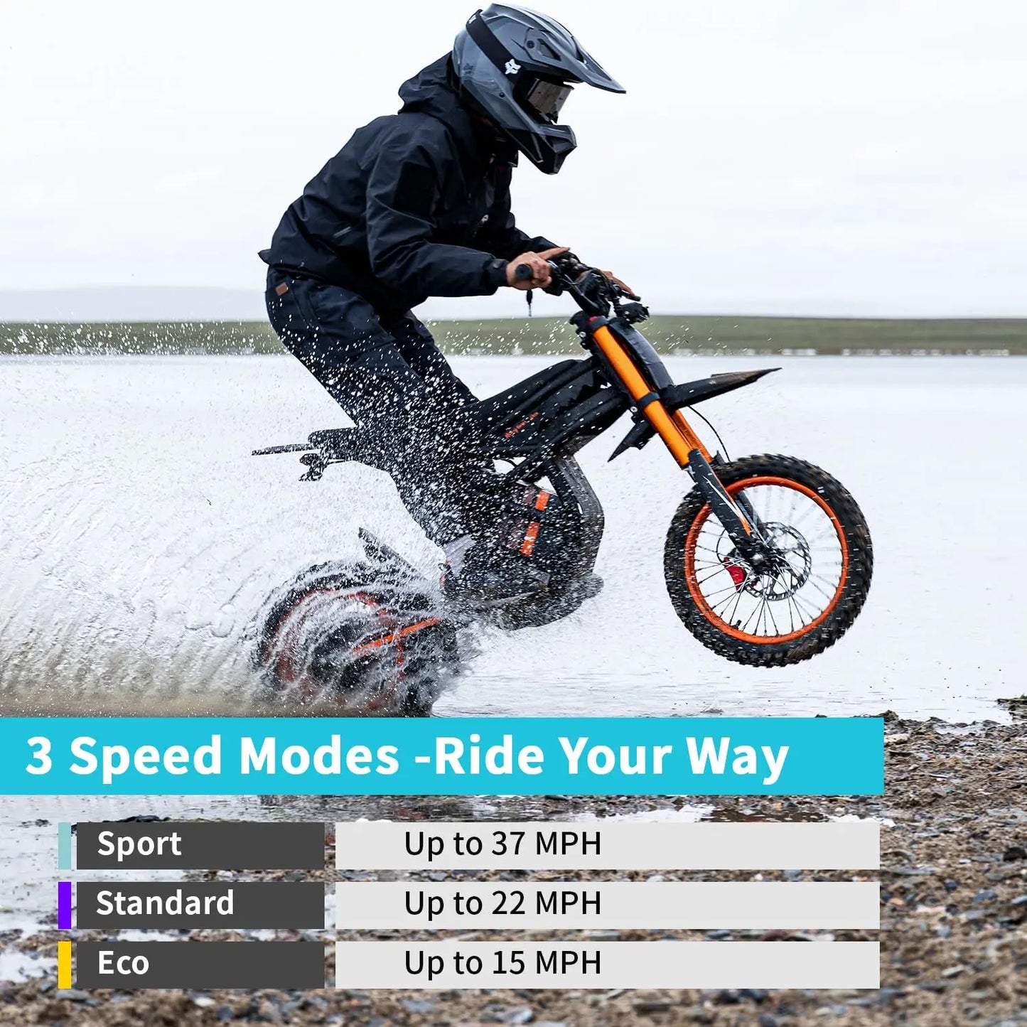 3000W Electric Dirt Bike 50MPH 25in Fat Tire Dual Removable 60V Battery All-Terrain Off-Road Snow Sand Adult Teen Custom
