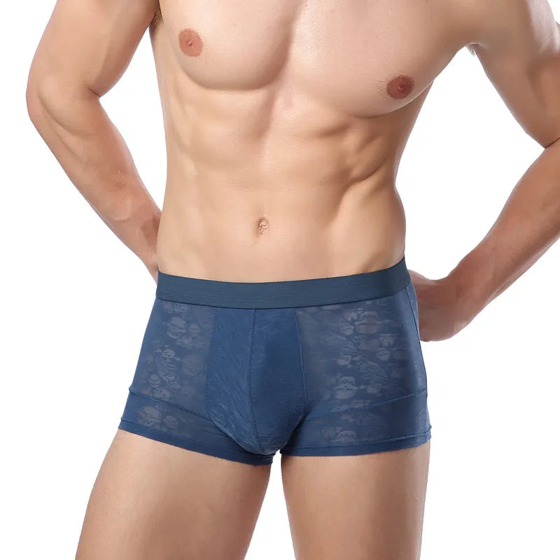 Men Boxer Underwear Sexy Ultra Thin Strectch See Through Panties Ice Silk Breathable Mid Waist Solid Underpants Male Briefs