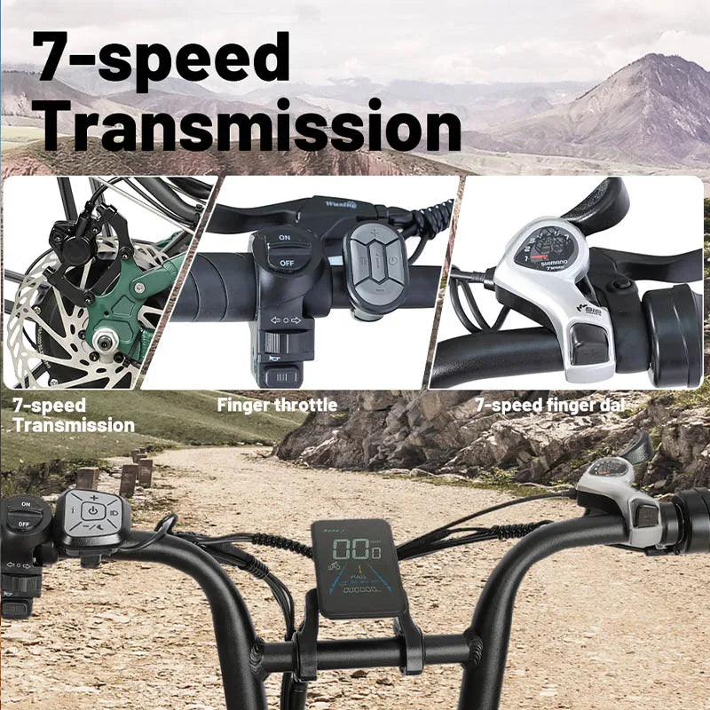 2000W 48V 20AH 20X4.0 Fat Tires, Aluminum Alloy Frame, Adult Electric Bicycle, Foldable, Hydraulic Brake