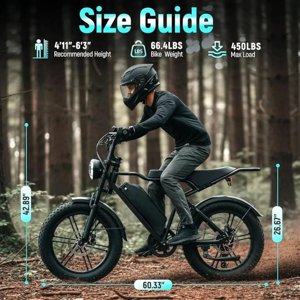 Electric Bike for Adults, 1500W Peak Motor Ebike, 20" x 4.0" Fat Tire E Bike, 48V 15Ah Removable Battery,Customized