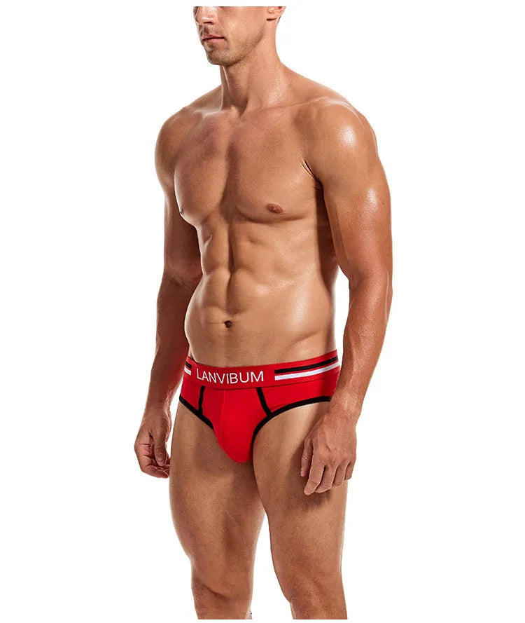 2-piece set - cotton men's underwear briefs breathable youth mid-waist large-size men's underwear underwear summer briefs