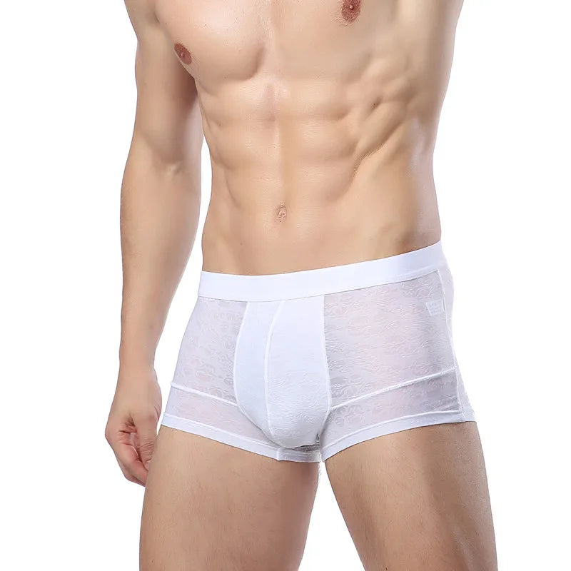 Men Boxer Underwear Sexy Ultra Thin Strectch See Through Panties Ice Silk Breathable Mid Waist Solid Underpants Male Briefs