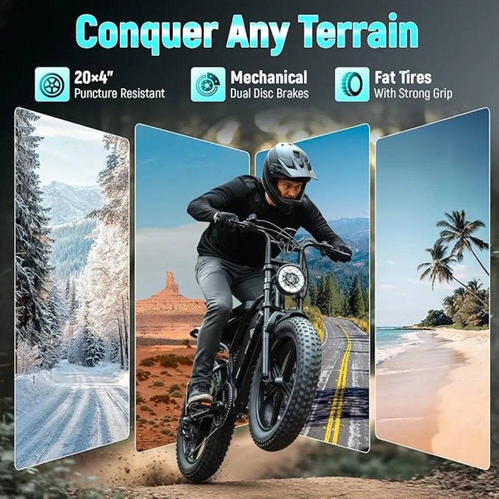 Electric Bike for Adults, 1500W Peak Motor Ebike, 20" x 4.0" Fat Tire E Bike, 48V 15Ah Removable Battery,Customized
