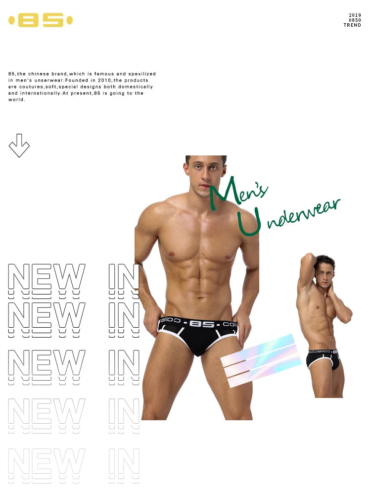 Men Underwear Mesh Qucik-Dry Sexy Men Briefs Breathablen Men Slip Cueca Male Panties Underpants Briefs Spring Summer