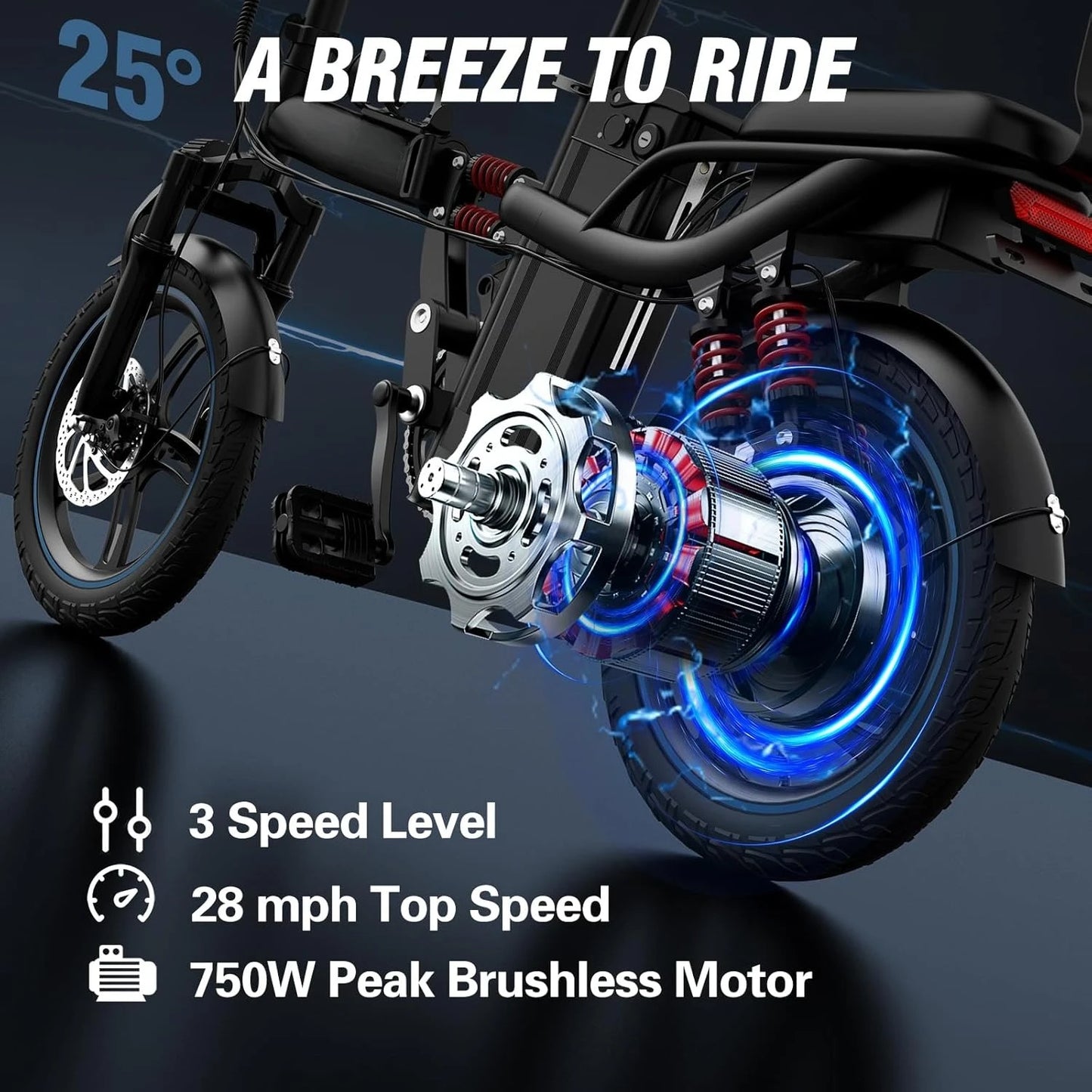 Electric Bike for Adults,750/1000W Motor E-Bike,28/30 MPH,748.8/960 Wh Removable Battery,25-45Miles,16/20in, Customized