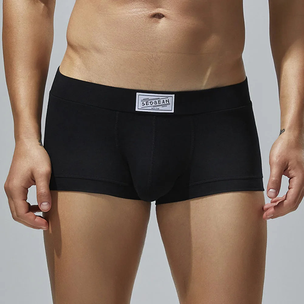 Men Sexy Underwear Boxer Briefs Comfortable Breathable Low Rise Intimates Hot Stretch Male Boxershorts Teenage Underpants