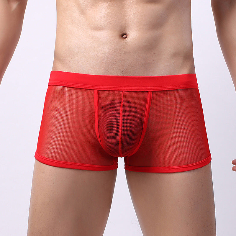 Men's Underwear Mesh Mesh Breathable Boxers Low Waist Transparent Boxers Youth Cool Shorts